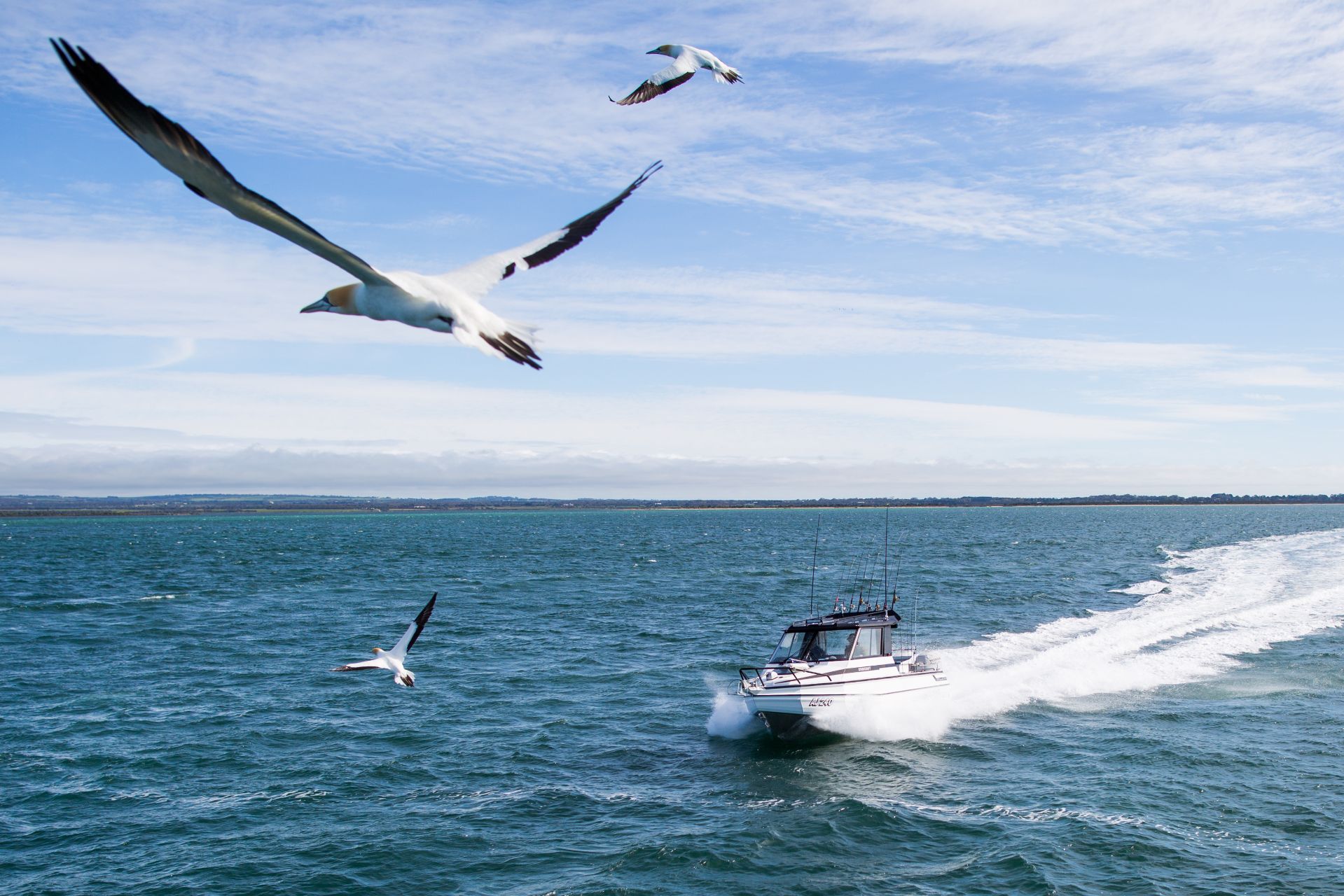 Stabicraft 2400 Supercab Hitech Marine Western Australia WA Perth Wangara Aluminium Boat Dealers