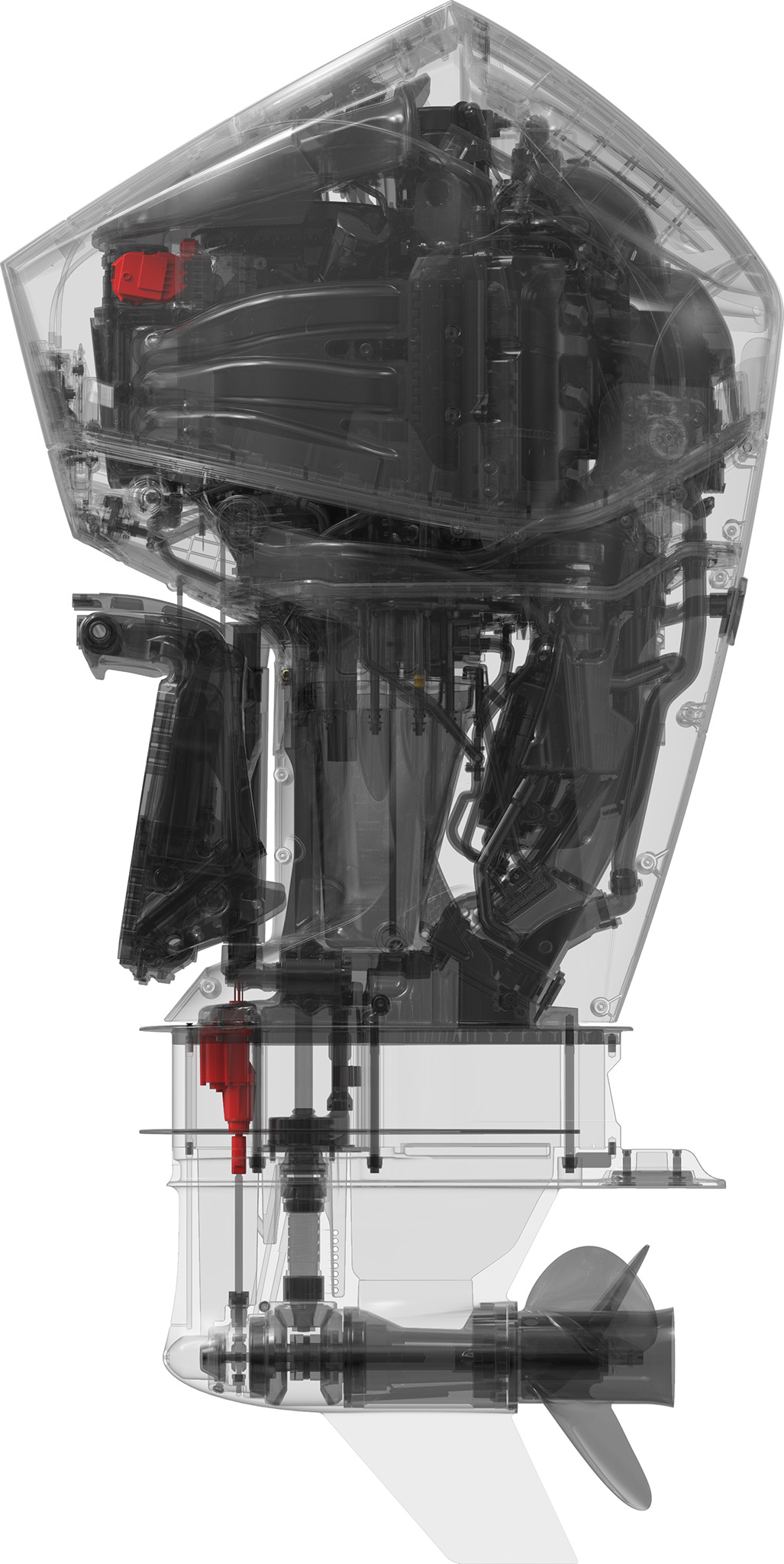 The New Mercury 200hp Fourstroke Outboard Perth Western Australia